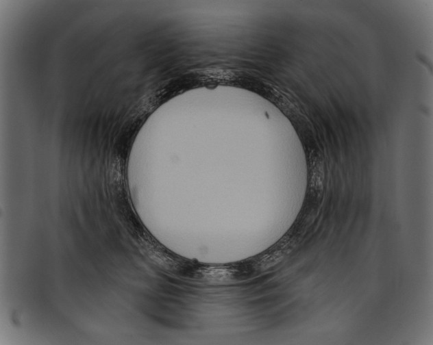 X0000097650518200803280932