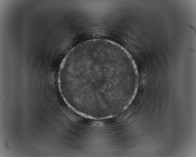 X0000097650519200803280932