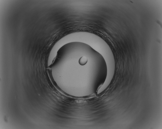 X0000097650520200803280932