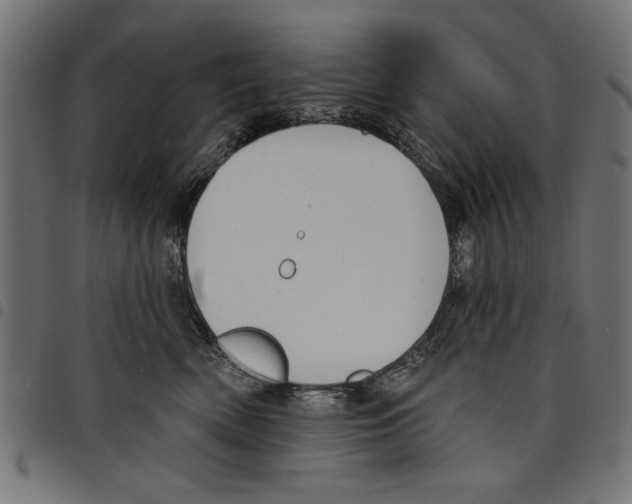 X0000097650522200803280932