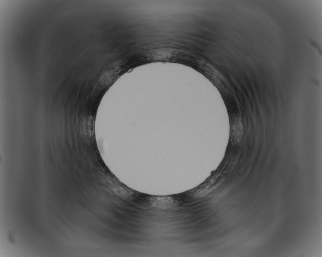 X0000097650525200803280932