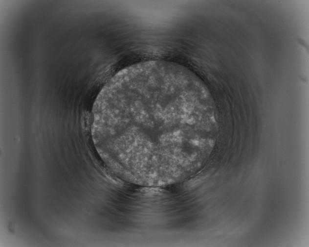 X0000097650528200803280932