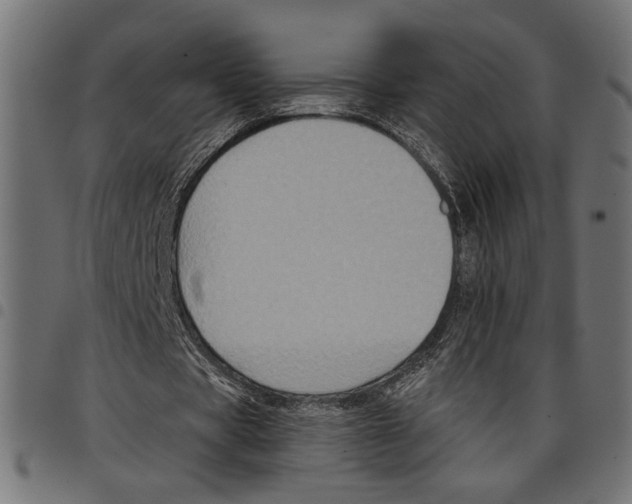 X0000097650529200803280931