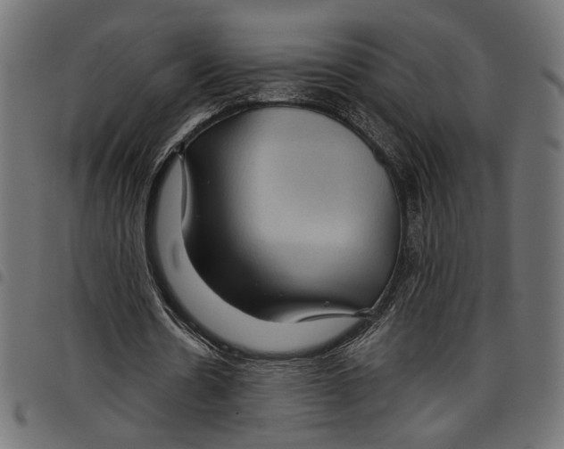 X0000097650530200803280931