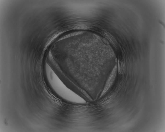 X0000097650531200803280931