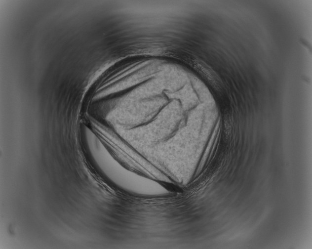 X0000097650532200803280931