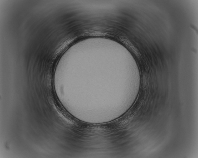 X0000097650533200803280931