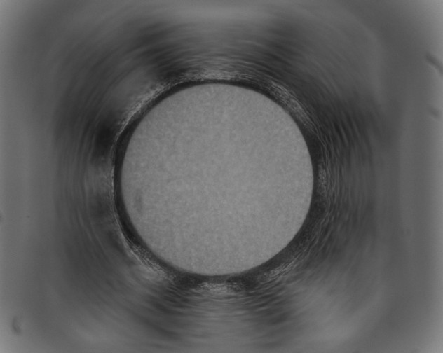 X0000097650534200803280931