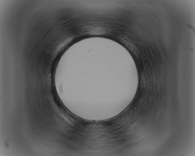 X0000097650535200803280931