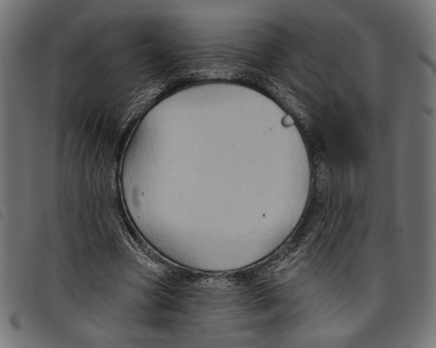 X0000097650537200803280931