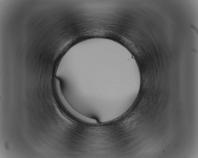 X0000097650538200803280931