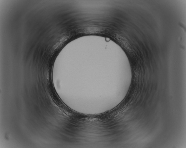 X0000097650539200803280931