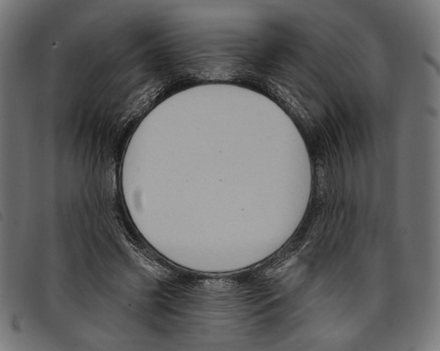 X0000097650541200803280931