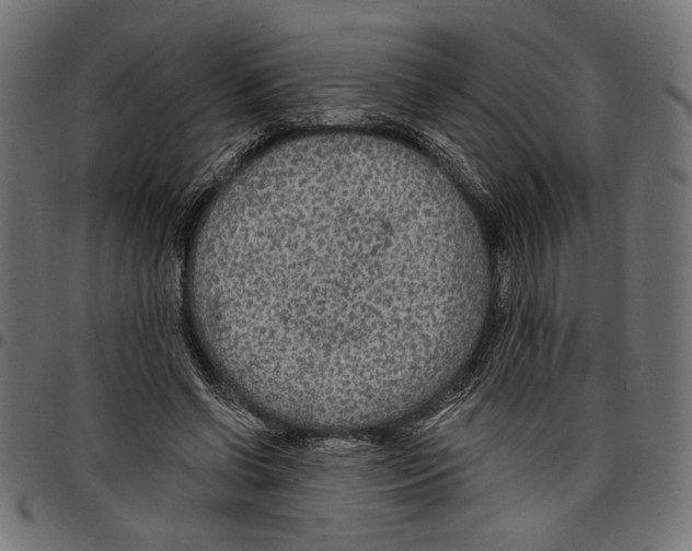 X0000097650542200803280931