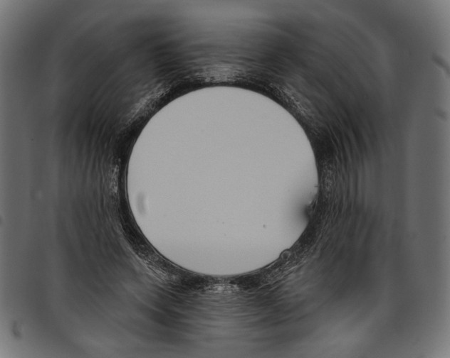 X0000097650543200803280931