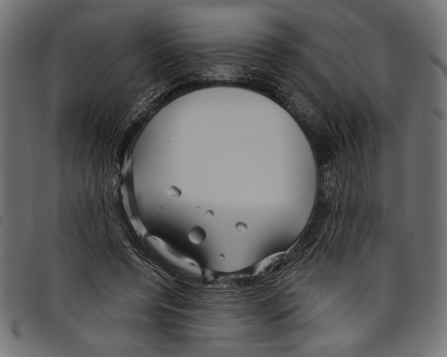 X0000097650544200803280931