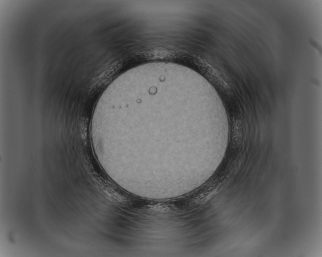 X0000097650545200803280931