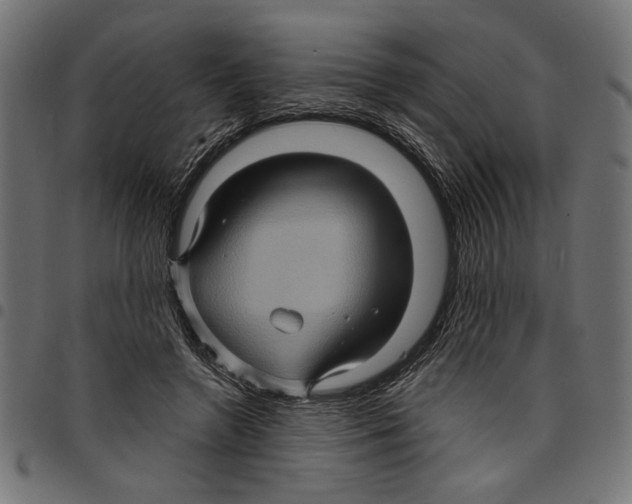 X0000097650546200803280931