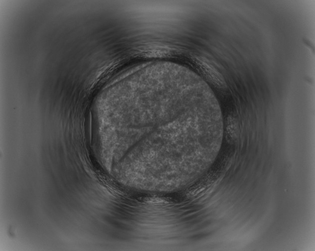 X0000097650547200803280931