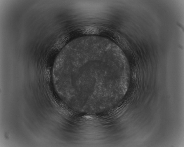 X0000097650551200803280931