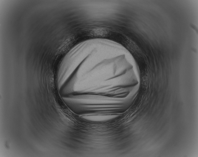 X0000097650552200803280931