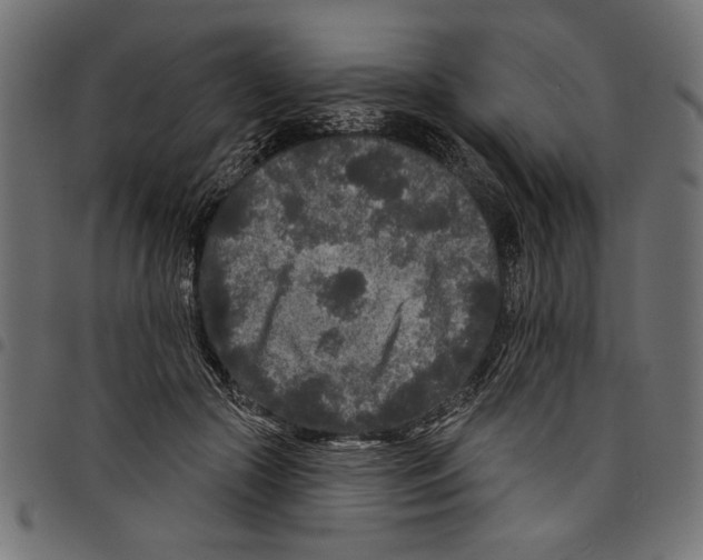 X0000097650553200803280931