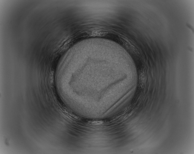 X0000097650554200803280931