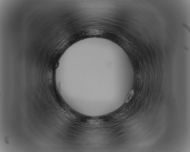 X0000097650556200803280931