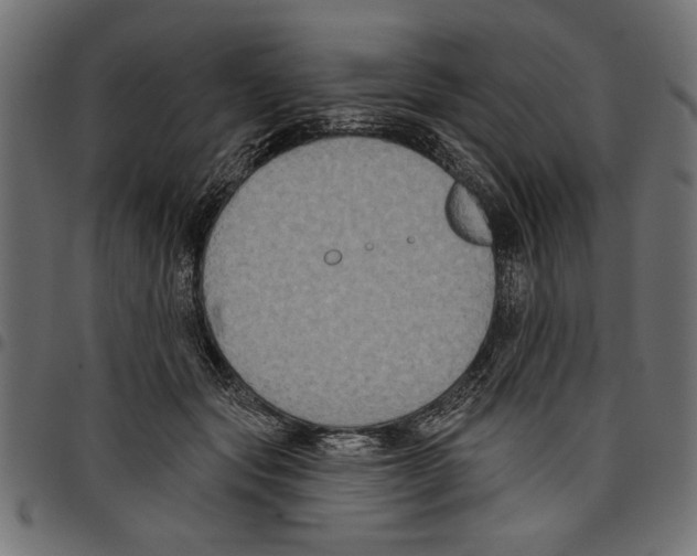 X0000097650557200803280931