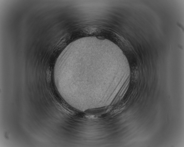 X0000097650558200803280932