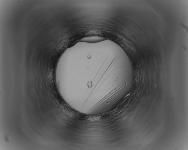 X0000097650560200803280932