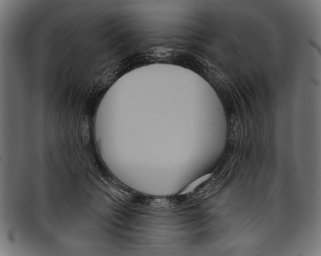 X0000097650562200803280932