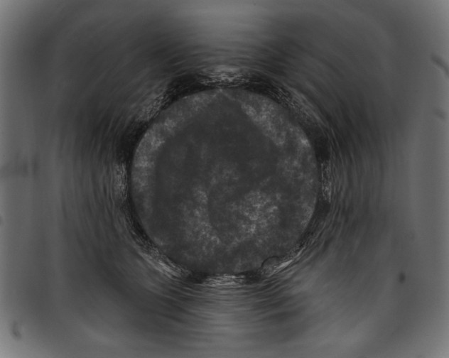 X0000097650563200803280932