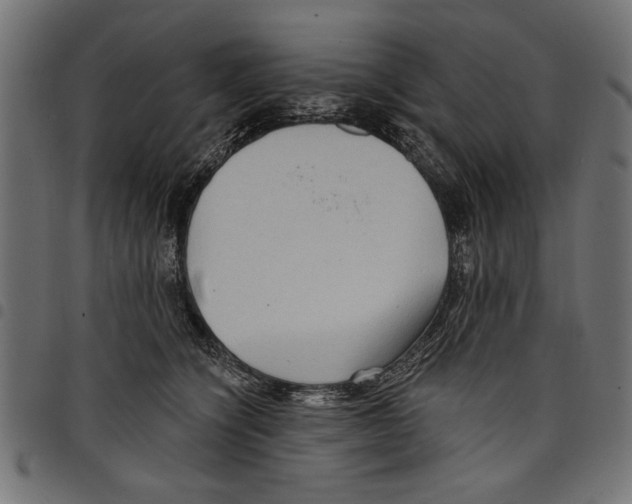 X0000097650564200803280932