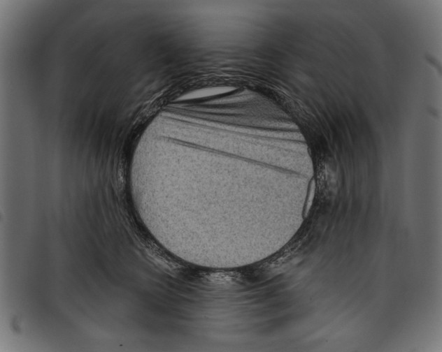 X0000097650566200803280932