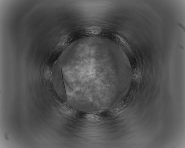 X0000097650568200803280932