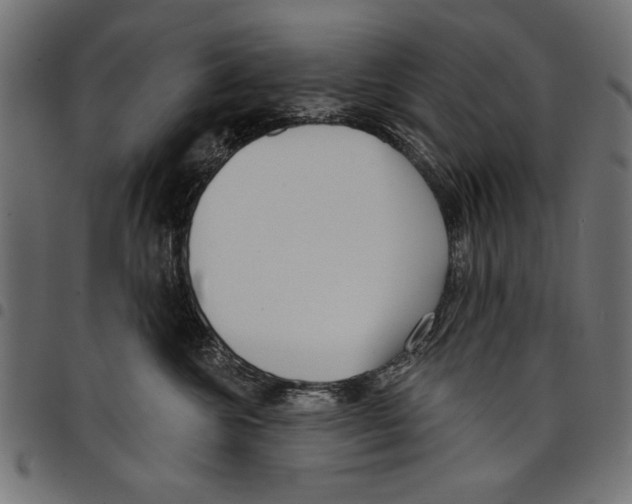 X0000097650572200803280932