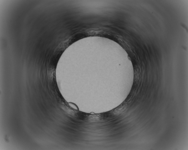 X0000097650574200803280932