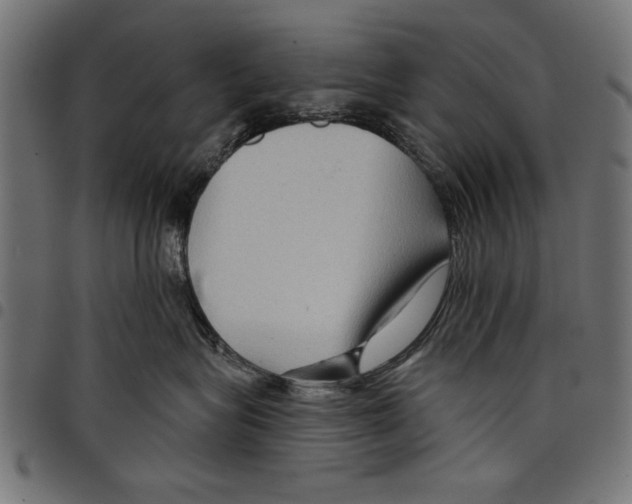 X0000097650575200803280932