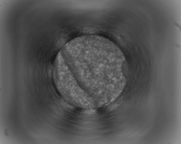 X0000097650576200803280932