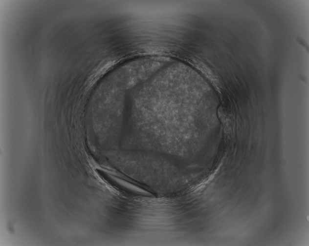 X0000097650577200803280931