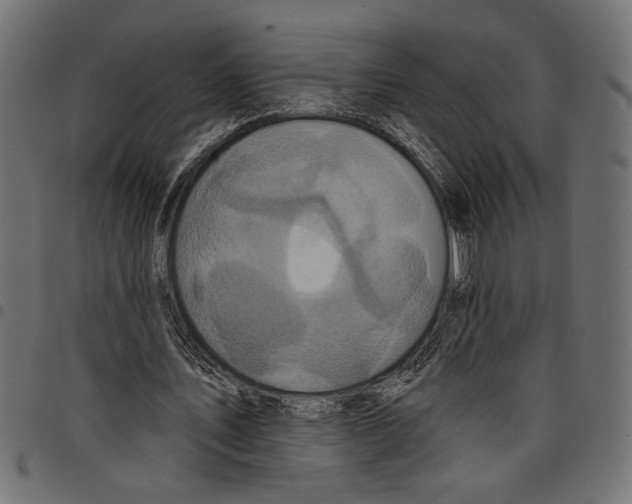 X0000097650579200803280931