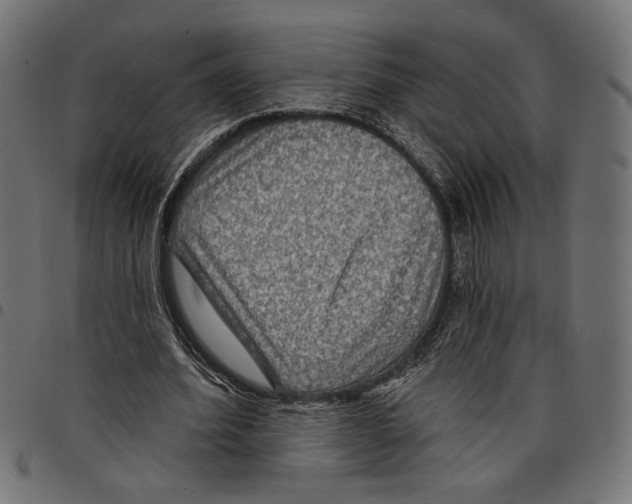 X0000097650580200803280931