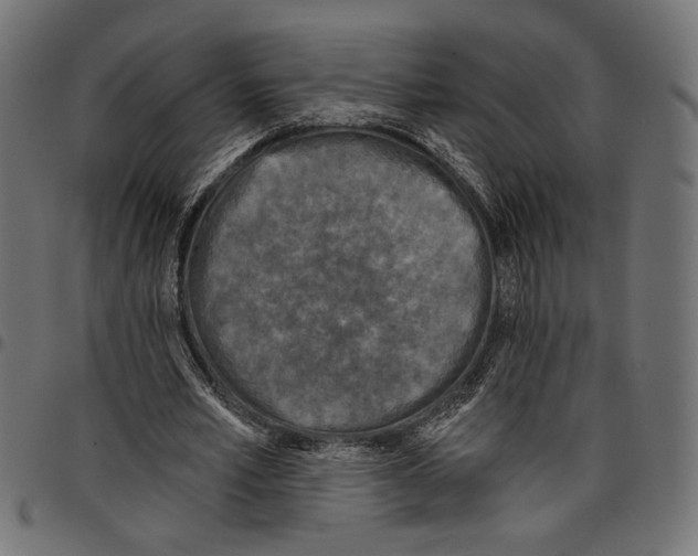 X0000097650581200803280931