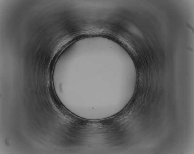 X0000097650582200803280931