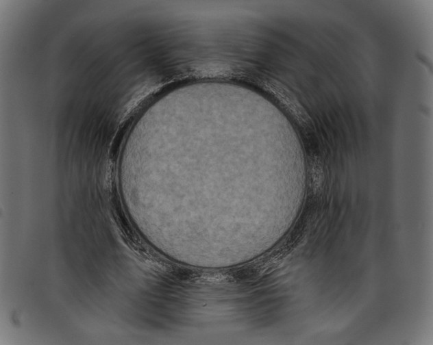 X0000097650583200803280931