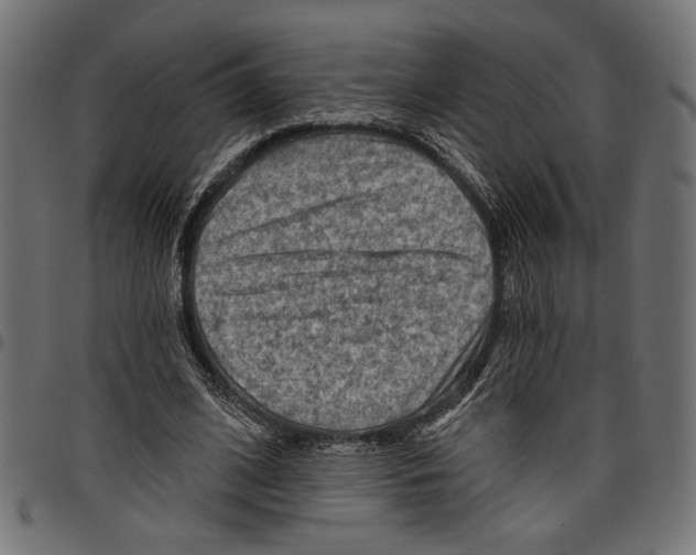 X0000097650584200803280931