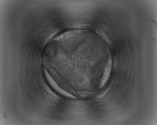 X0000097650585200803280931