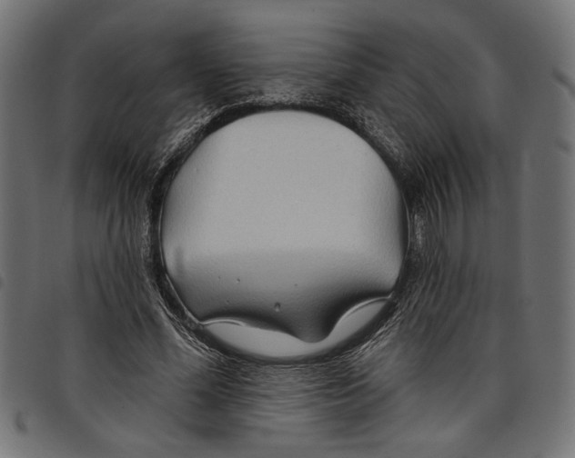 X0000097650588200803280931