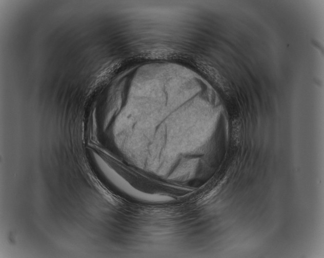 X0000097650589200803280931